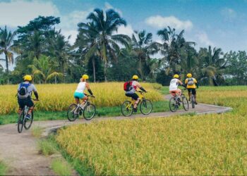 Chèo thuyền, cắm trại trên cánh đồng lúa lớn nhất Đồng Nai