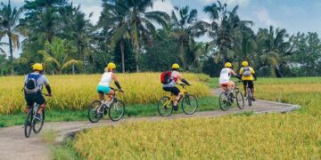 Chèo thuyền, cắm trại trên cánh đồng lúa lớn nhất Đồng Nai