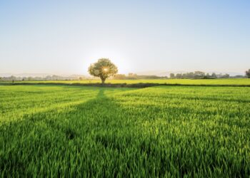 Quảng Ngãi bình yên dưới góc nhìn của nhiếp ảnh gia xa quê