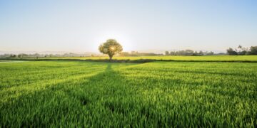 Quảng Ngãi bình yên dưới góc nhìn của nhiếp ảnh gia xa quê