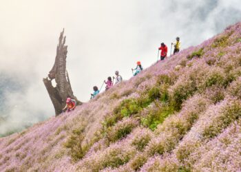 Chinh phục Tà Chì Nhù – thiên đường mây và hoa tím
