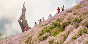 Chinh phục Tà Chì Nhù – thiên đường mây và hoa tím