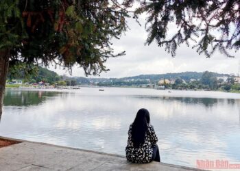 Lặng lẽ chiều Đà Lạt