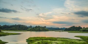 4 ngày 3 đêm khám phá Nam Cát Tiên