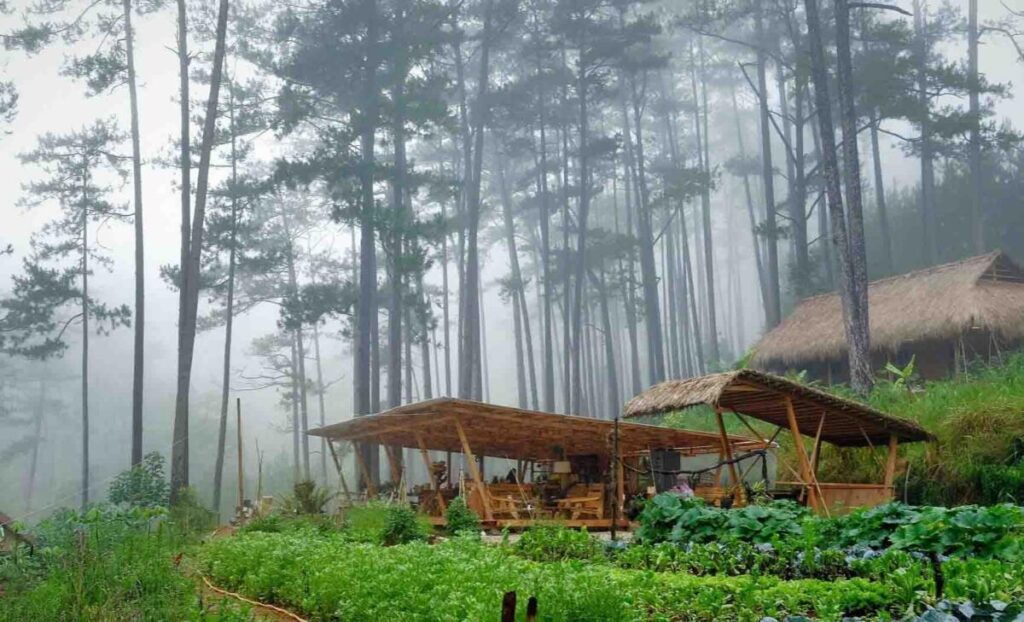 Du lịch bền vững cho bây giờ và mai sau