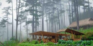 Du lịch bền vững cho bây giờ và mai sau