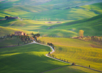 Vẻ đẹp kỳ diệu của cánh đồng Tunscany, Italia
