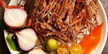 ‘Vũ nữ chân dài’ – đặc sản trứ danh ở miền Tây làm điên đảo ‘dân nhậu’