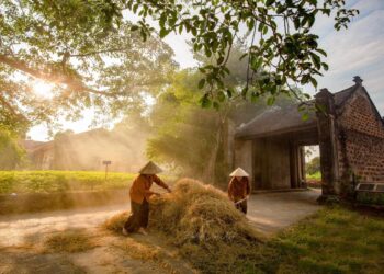 Về làng cổ Đường Lâm, ngắm cảnh yên bình khiến lòng người xao xuyến