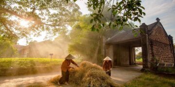 Về làng cổ Đường Lâm, ngắm cảnh yên bình khiến lòng người xao xuyến