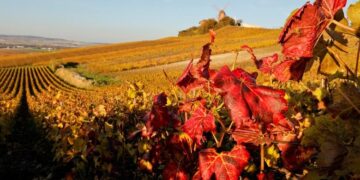 Ngắm cảnh sắc mùa thu ‘hút hồn’ ở các nơi trên thế giới