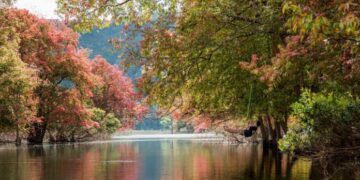 Mùa lá đỏ xứ D’ran