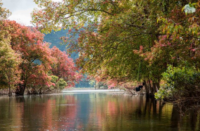 Mùa lá đỏ xứ D’ran