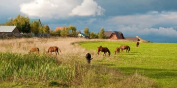 Cảnh đẹp mùa hè xanh mướt ở làng quê nước Nga