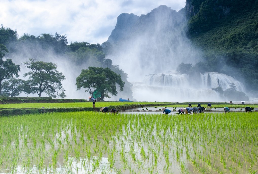 Chiêm ngưỡng vẻ đẹp bốn mùa của thác Bản Giốc