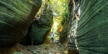 Lạc vào ‘kỷ Jura’ đậm chất phiêu lưu ở hang động Quảng Nam