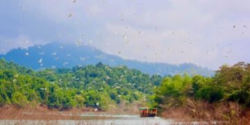 Vẻ nguyên sơ tại khu rừng Việt Nam đầu tiên tìm thấy ‘kỳ lân châu Á’ – sao la