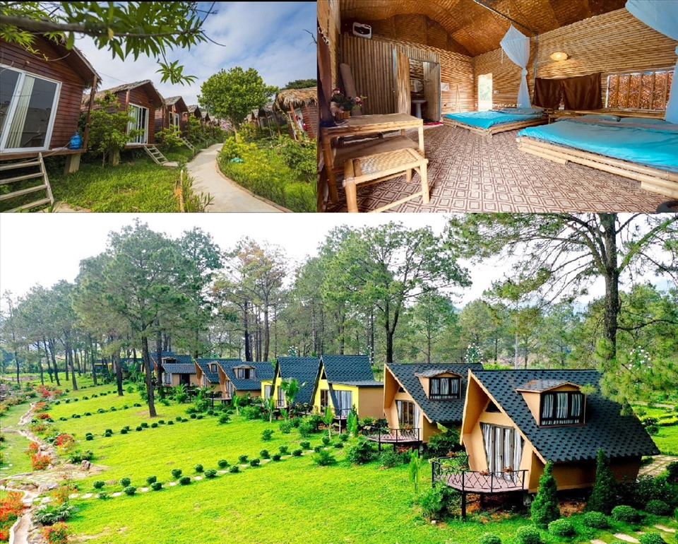 Kinh nghiệm thuê villa, homestay chất lượng khi đi du lịch