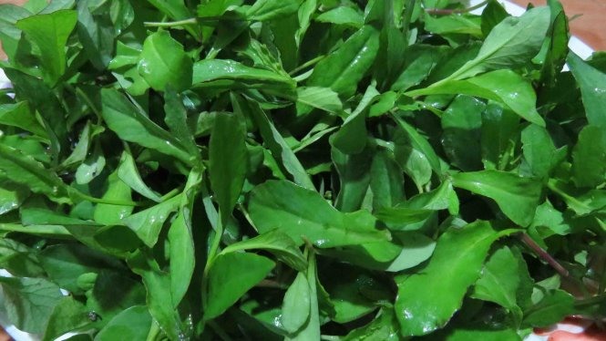 Gắp rau chua lẻ, quê nhà hiện ra