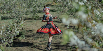 Xuất hiện vườn hoa mận nở trắng xóa gần Đà Lạt