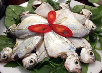 Cá ‘long hội’ và món lẩu trứ danh, đặc sản có 1 không 2