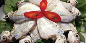 Cá ‘long hội’ và món lẩu trứ danh, đặc sản có 1 không 2