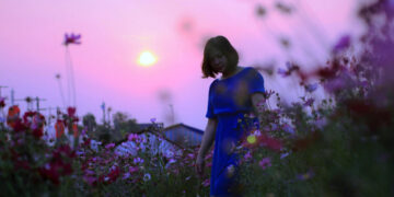 Bất ngờ với những góc đẹp lãng mạn của thành phố Đồng Xoài