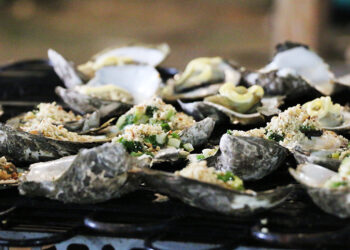 Mách cách đi biển Sài Gòn ăn hải sản tươi ngon