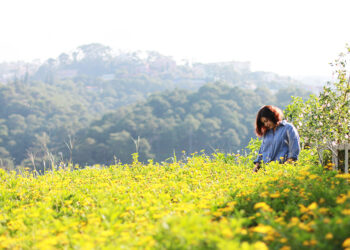 Những điểm chụp ảnh sống ảo đẹp ít người biết ở Đà Lạt