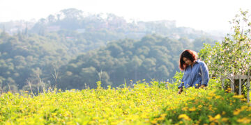Những điểm chụp ảnh sống ảo đẹp ít người biết ở Đà Lạt