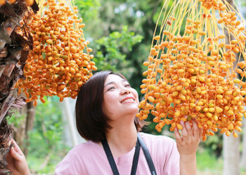 Check-in vườn chà là, không gian cổ tích ở miền Tây