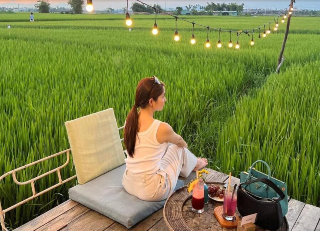 Gục ngã với vẻ đẹp xiêu lòng của quán cà phê giữa cánh đồng Hội An