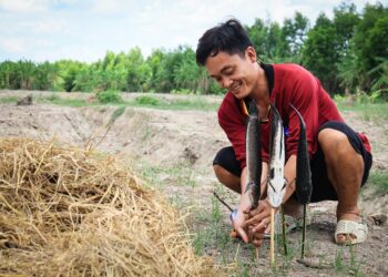 Ghi chú cho người chuẩn bị đi chơi lễ 2/9