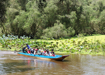 Lên xuồng dong rừng tràm Trà Sư, ngắm phim trường Đất rừng phương Nam