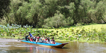 Lên xuồng dong rừng tràm Trà Sư, ngắm phim trường Đất rừng phương Nam