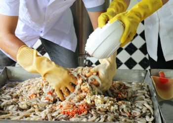 Tận mắt coi cách làm mắm tôm chà Gò Công