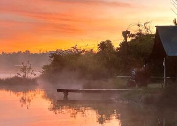 Mách đường ăn chơi: Chiếc farm đẹp gục ngã ở Bảo Lộc