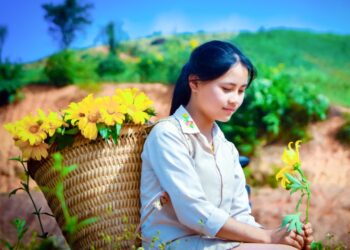 Lên đường ngắm dã quỳ vào mùa đẹp nhất, từ Đà Lạt đến Điện Biên