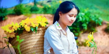 Lên đường ngắm dã quỳ vào mùa đẹp nhất, từ Đà Lạt đến Điện Biên