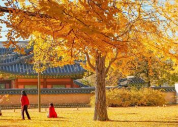 Những điểm đến đón thu vàng tuyệt đẹp ở châu Á