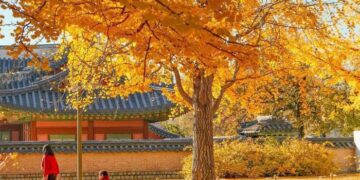 Những điểm đến đón thu vàng tuyệt đẹp ở châu Á