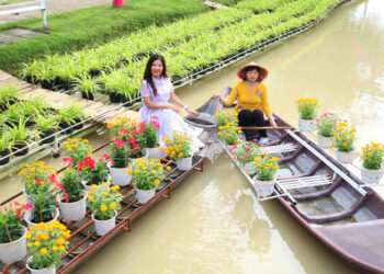 Có gì hay ở Festival Hoa – Kiểng Sa Đéc lần đầu tiên?