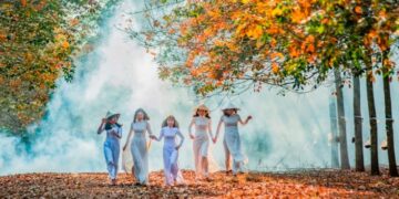 Vào rừng cao su mùa thay lá đẹp như trong phim Hàn