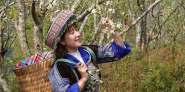 Tây Bắc vào mùa hoa mận, hoa lê, tớ dày, đỗ quyên…