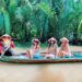 Tìm tour đi chơi hè ở Ngày hội du lịch TP.HCM 2024