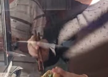 Tay nghề đỉnh cao của bà Mẹo bán bánh mì ở Tuy Hòa