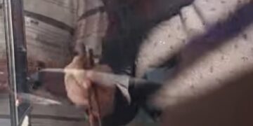 Tay nghề đỉnh cao của bà Mẹo bán bánh mì ở Tuy Hòa