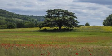 Mê hoặc vùng đất được mệnh danh “khu vườn của nước Anh”