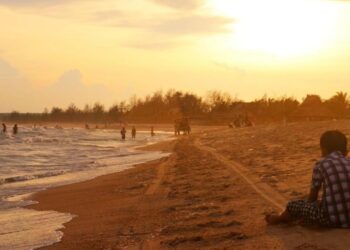 Chuyến xe ụm bò bên biển La Gi