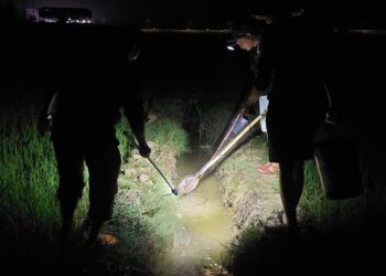 Theo chân người đi soi cá cho bữa cơm cuối năm